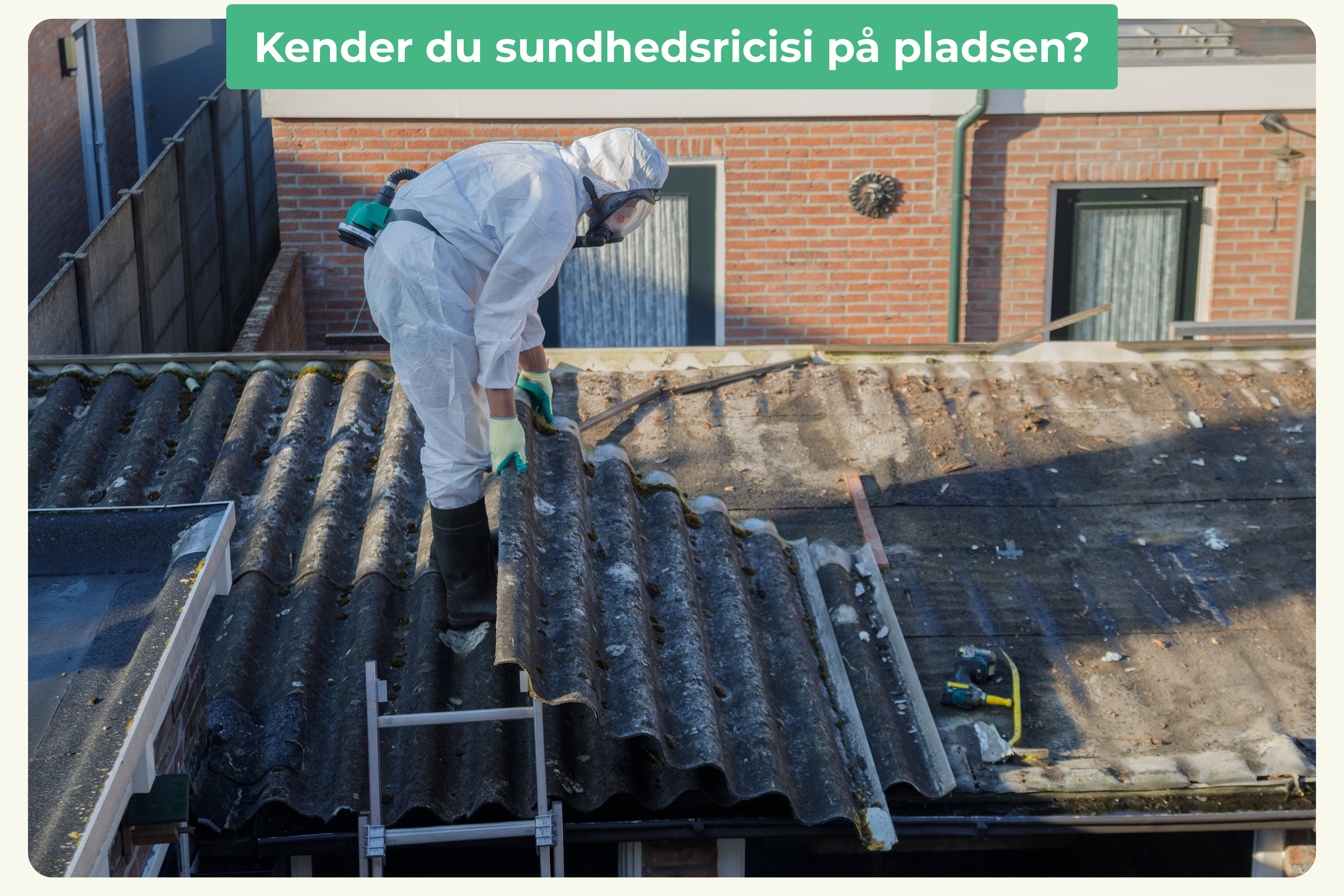 Blog indlæg_ miljøscreening 3 (1)