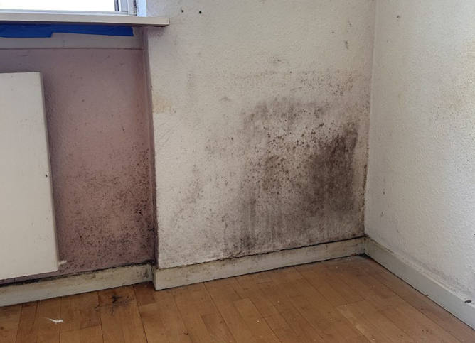 Skærmbillede 2025-11-28 120323