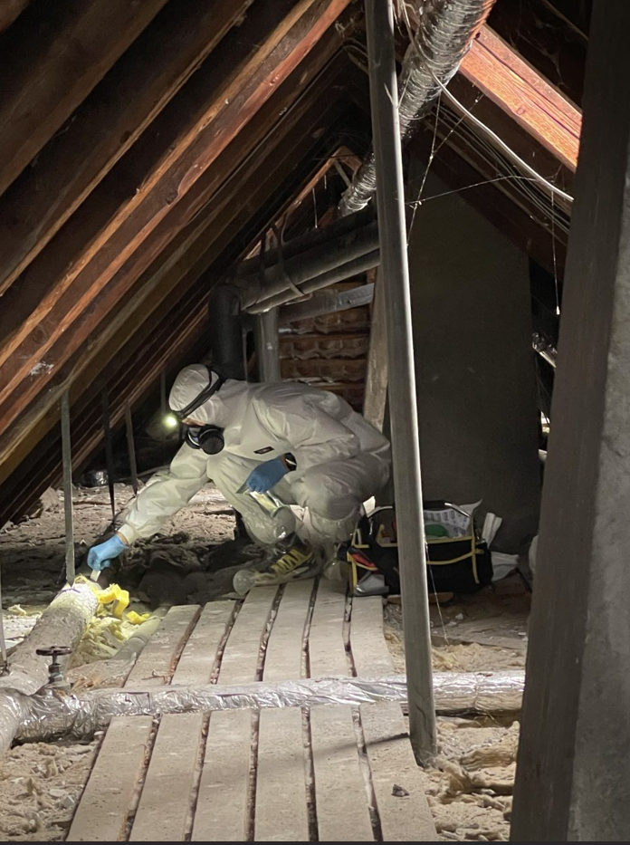 Skærmbillede 2025-11-19 115913