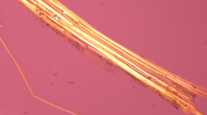 Asbestfiber observeret i mikroskop i forbindelse med miljøanalyse